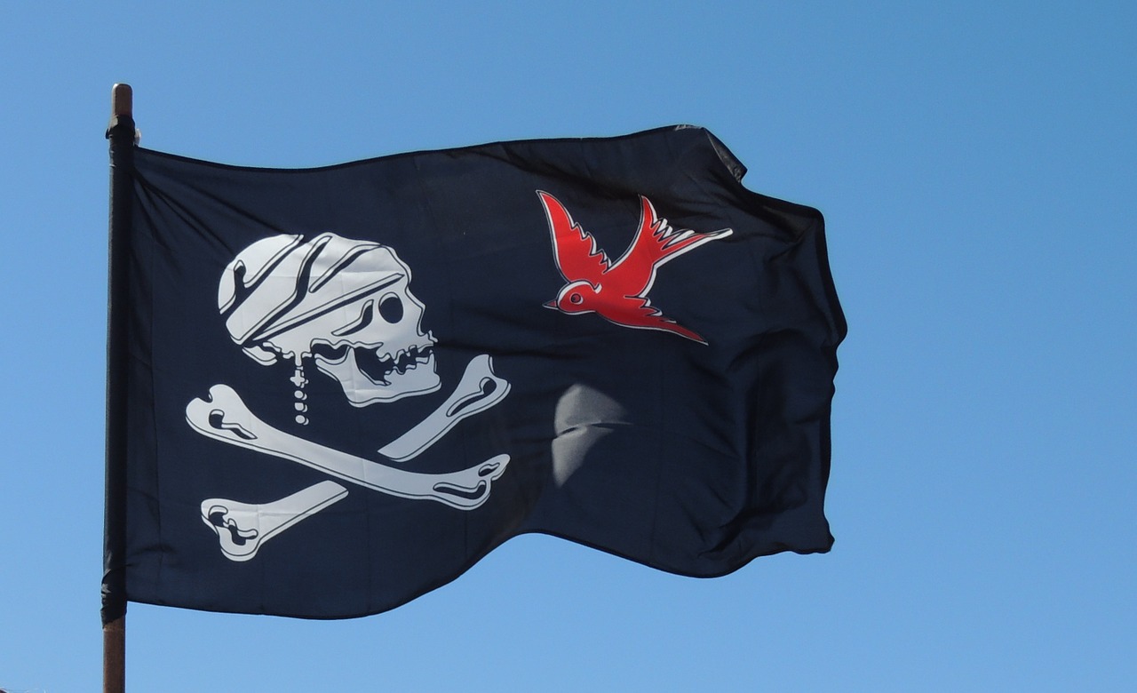 pirate flag skull free photo