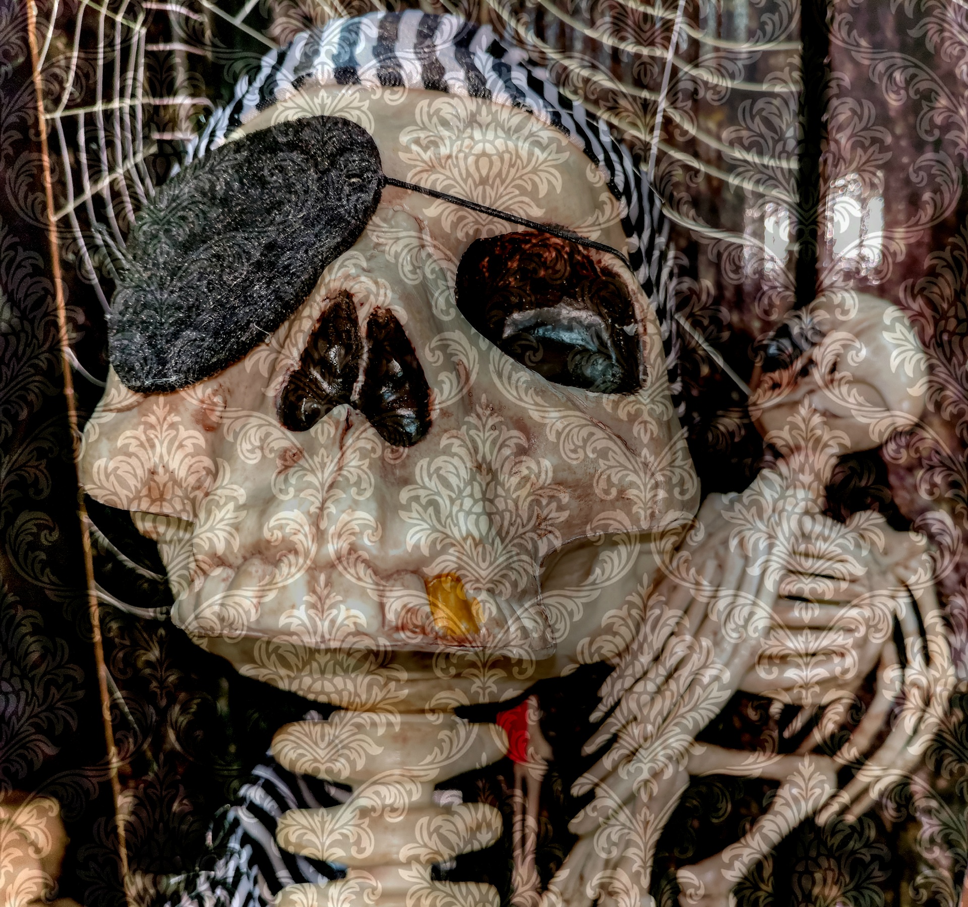 skull skeleton pirate free photo