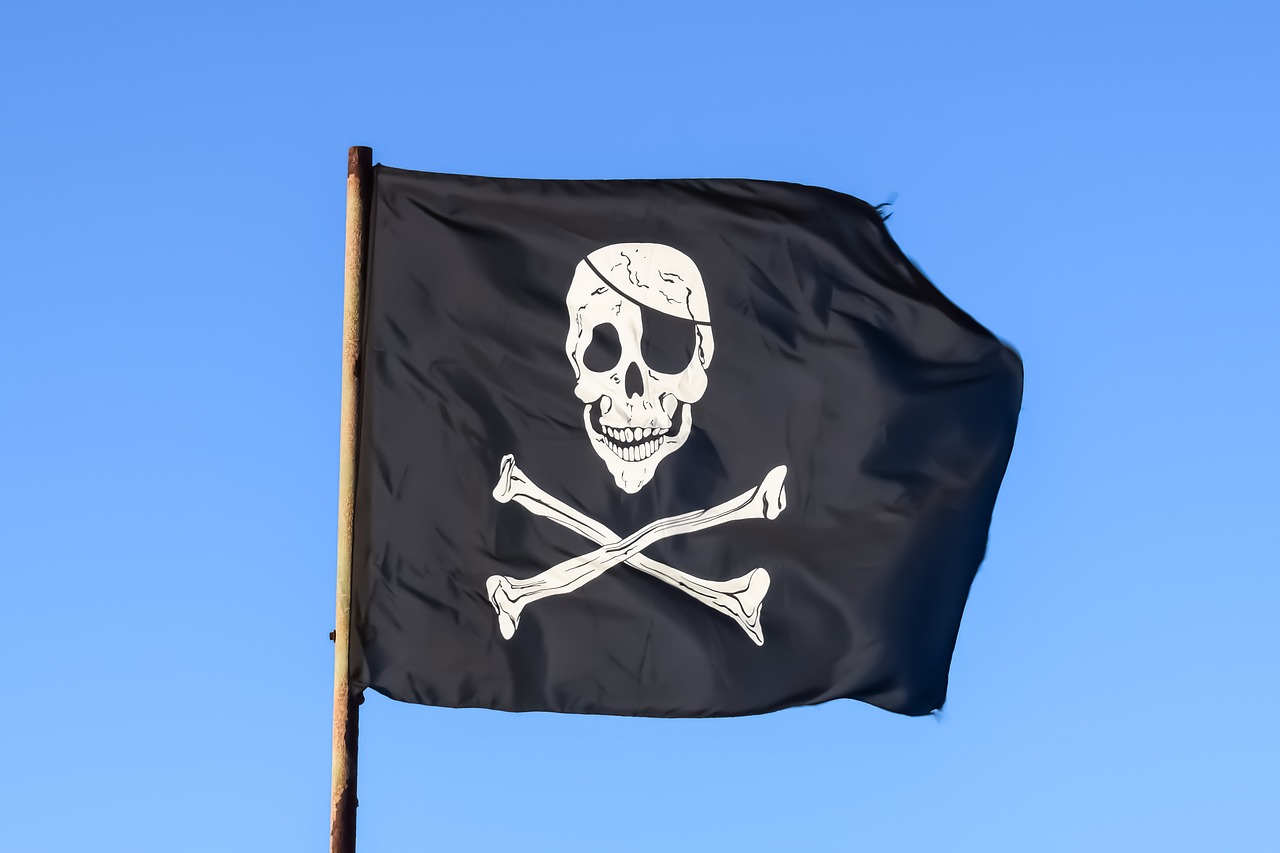 pirate flag black skull free photo