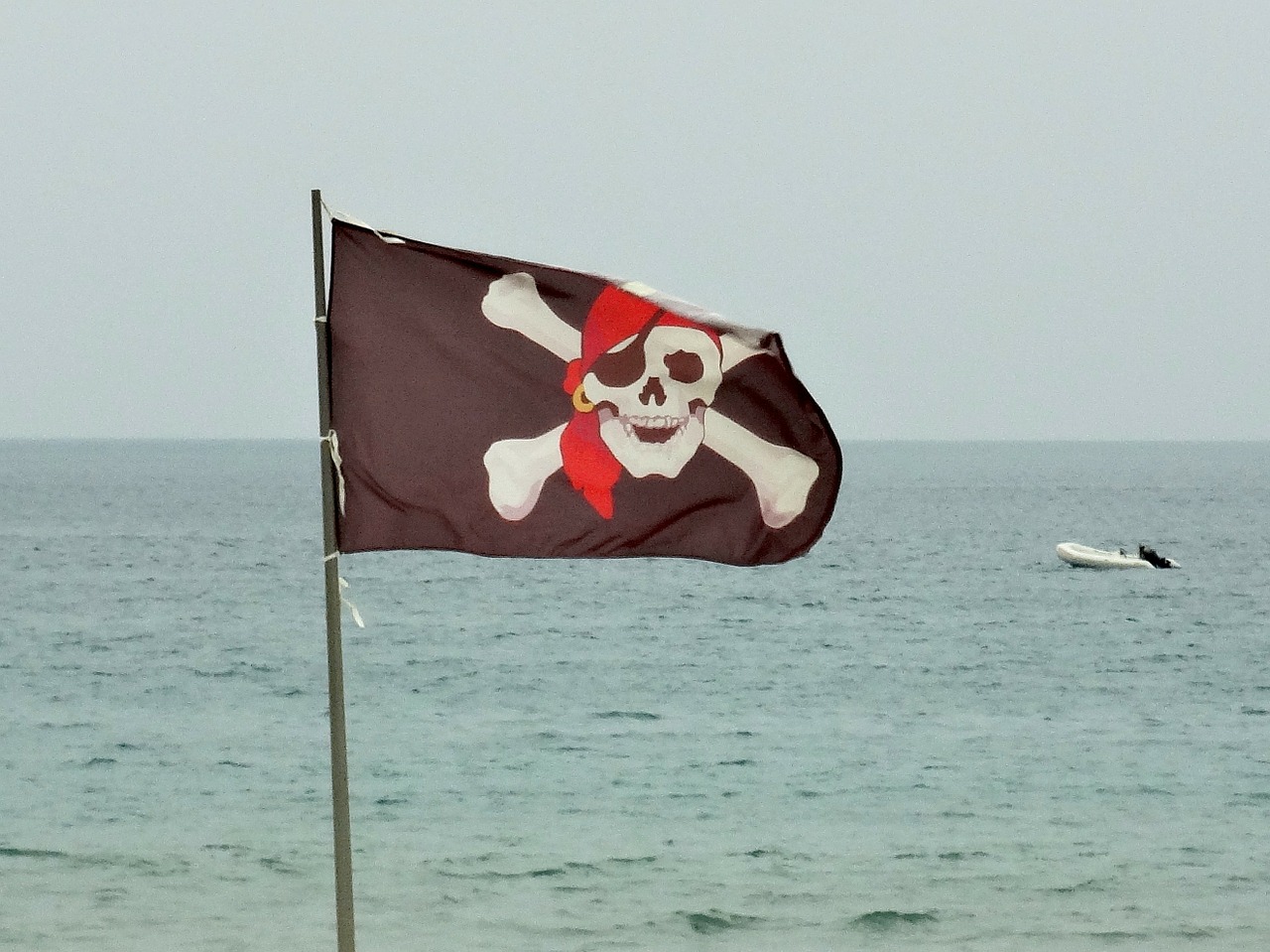 pirates flag skull and crossbones free photo