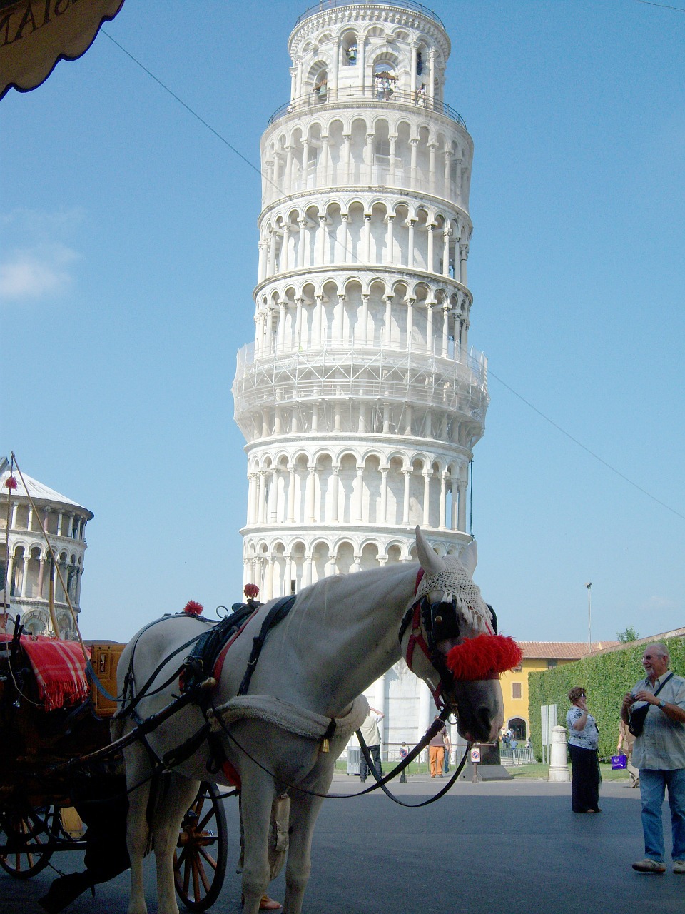 pisa leaning tower italy free photo