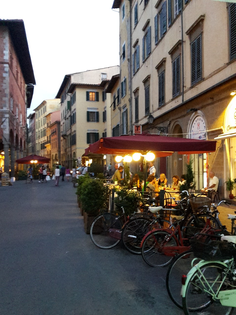 pisa italy holiday free photo