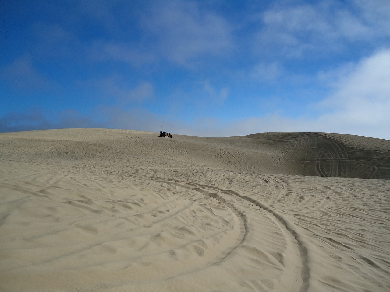 pismo dunes california free photo