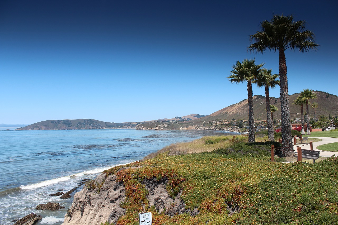 pismo beach  california  usa free photo