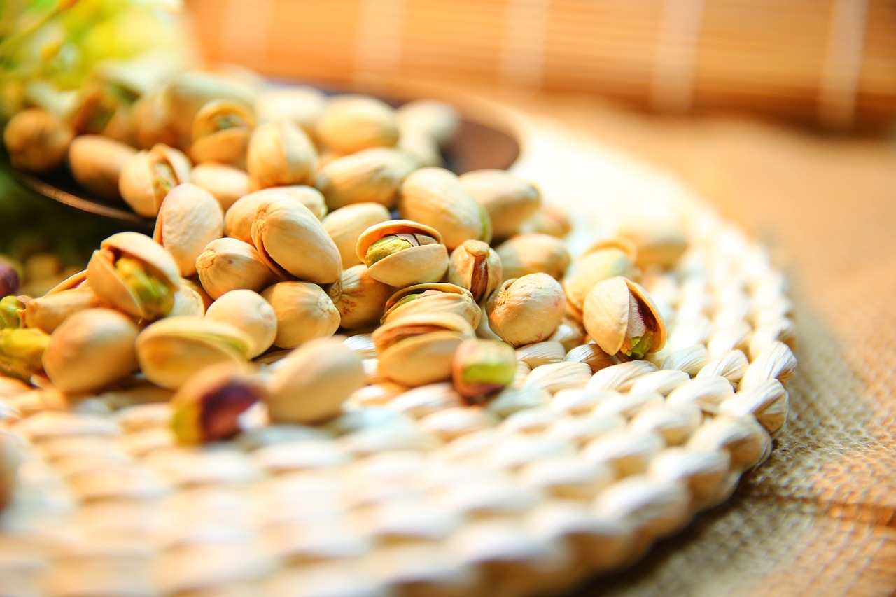 pistachio nut kernel free photo