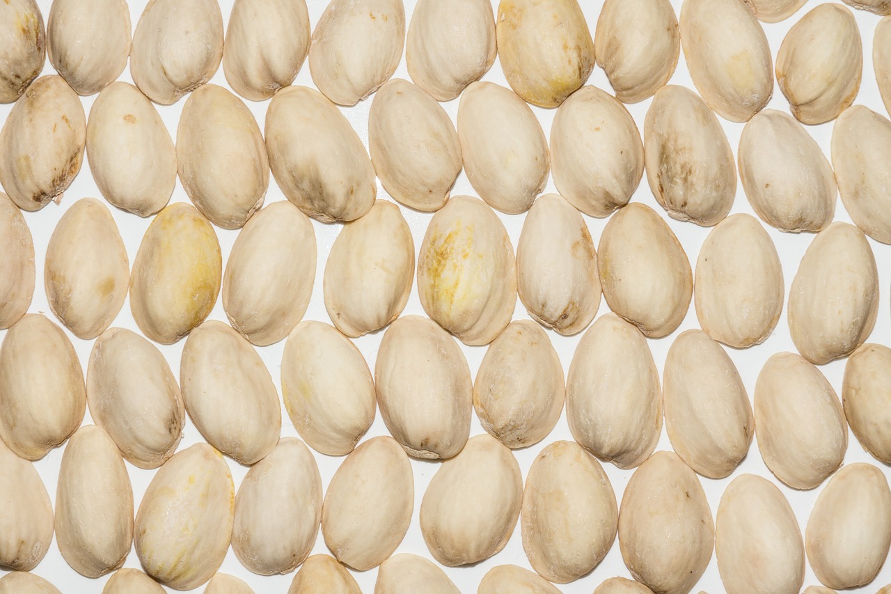 pistachios nutshells pistachio shells free photo