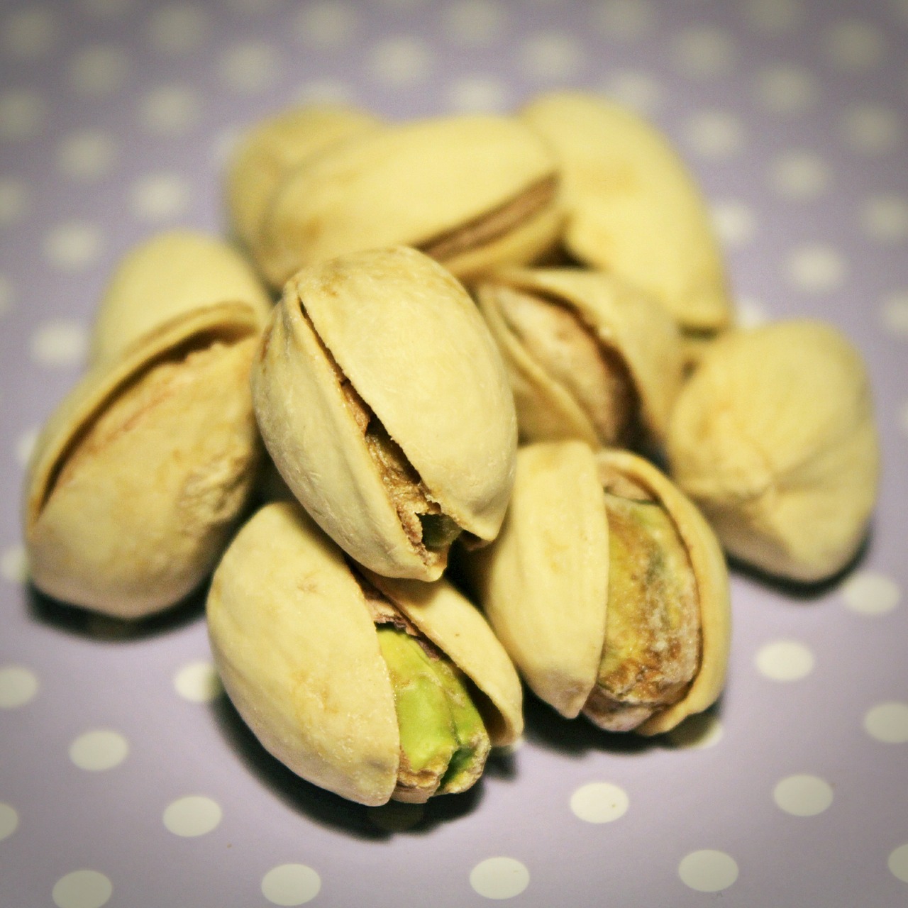 pistachios nuts snack free photo