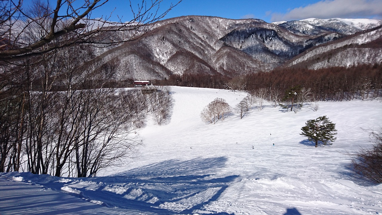 piste snow board snow free photo