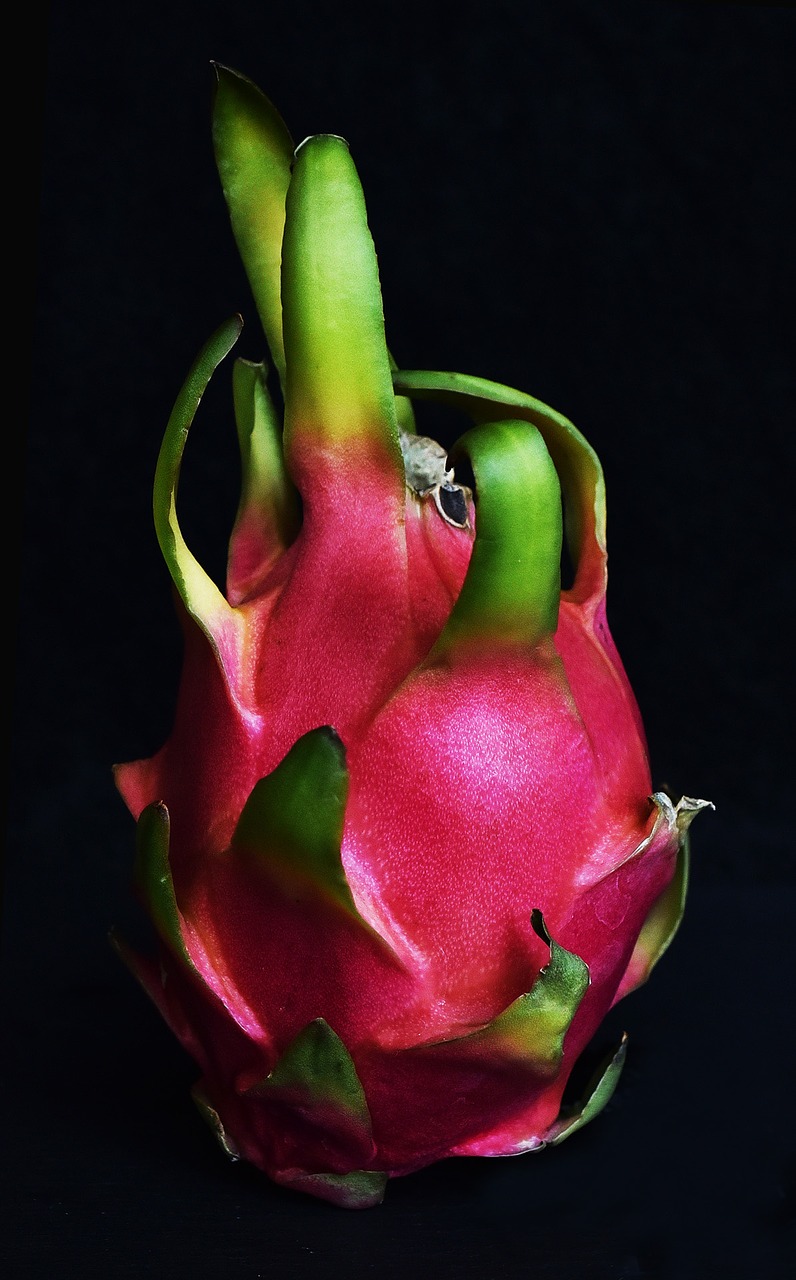 pitaya fruit dragon fruit free photo