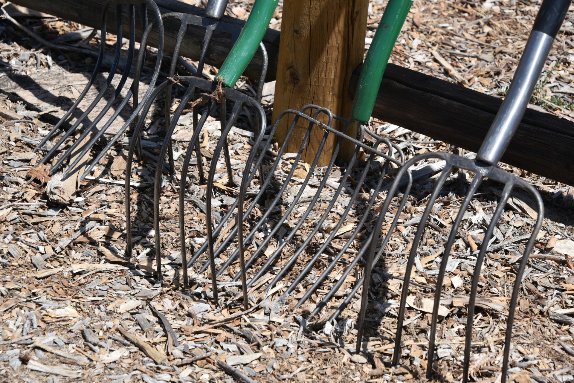 pitchforks garden tools free photo