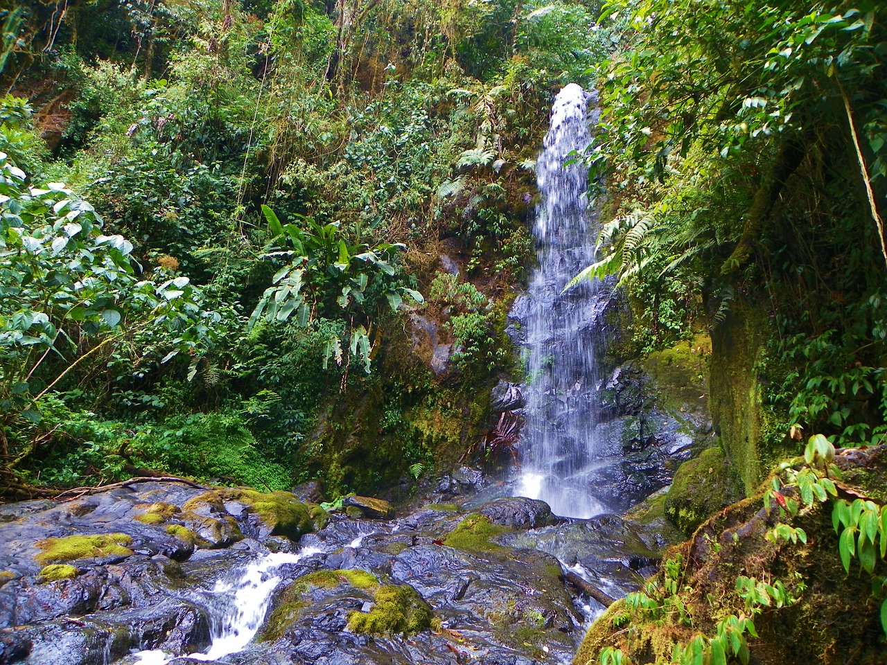 pittier waterfall la amistad park free photo