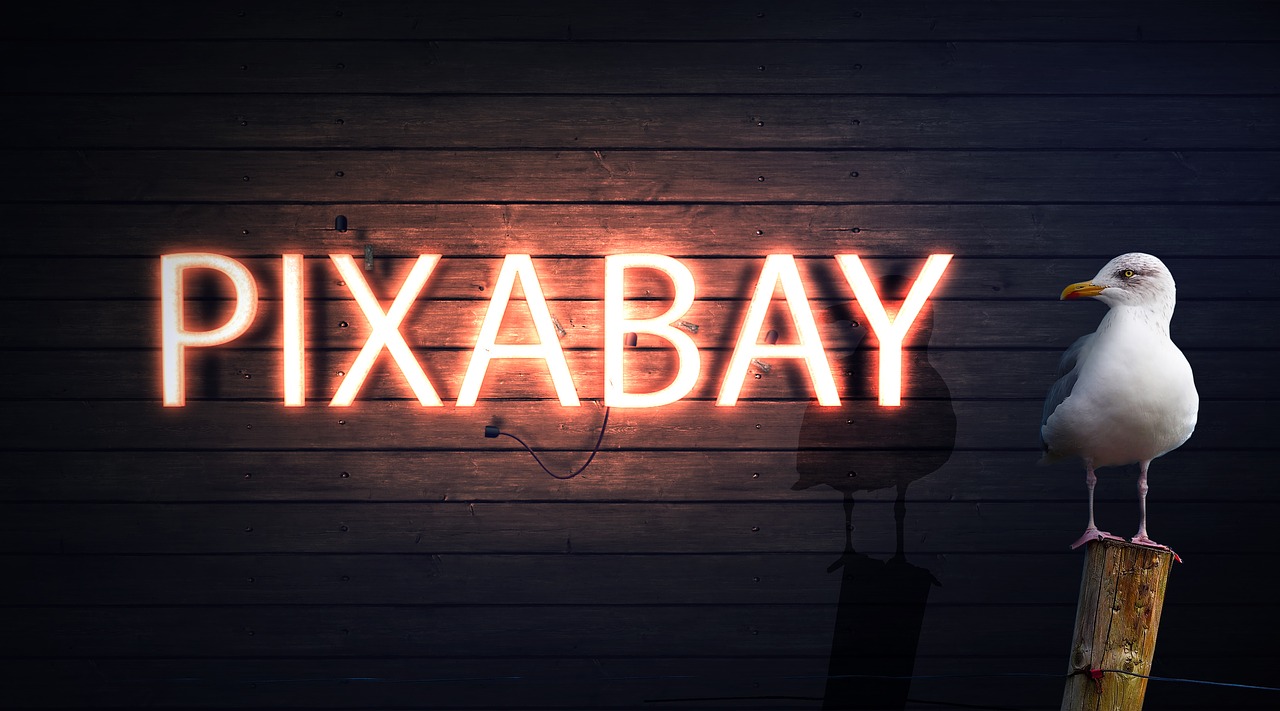 pixabay  lettering  typography free photo