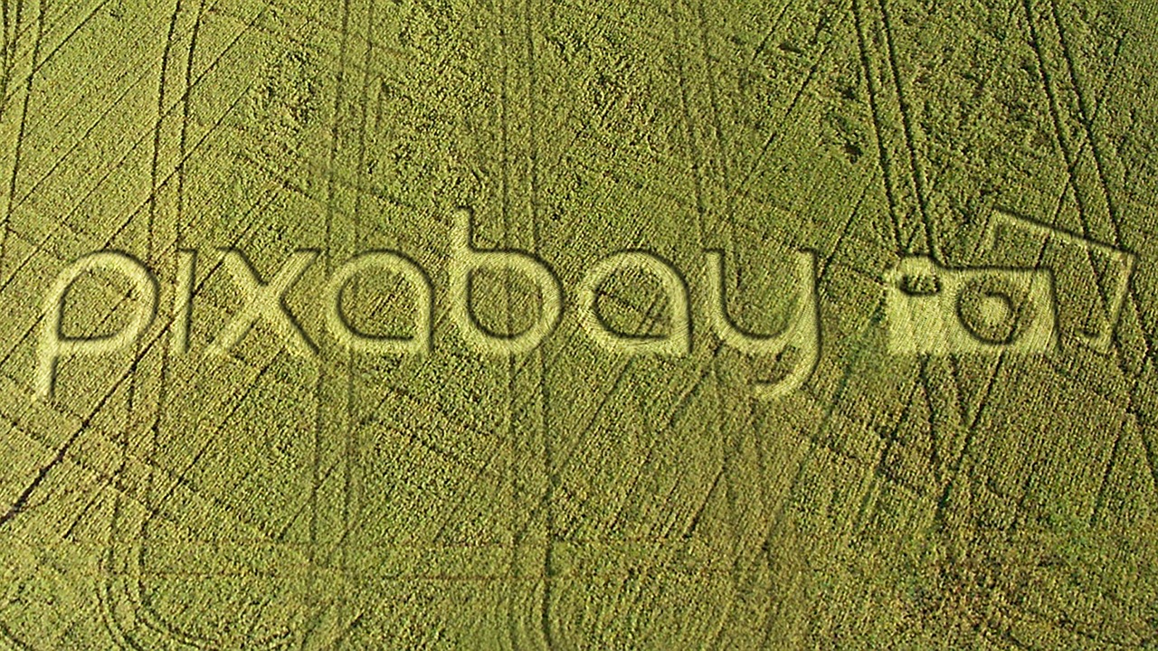pixabay field crop circle free photo