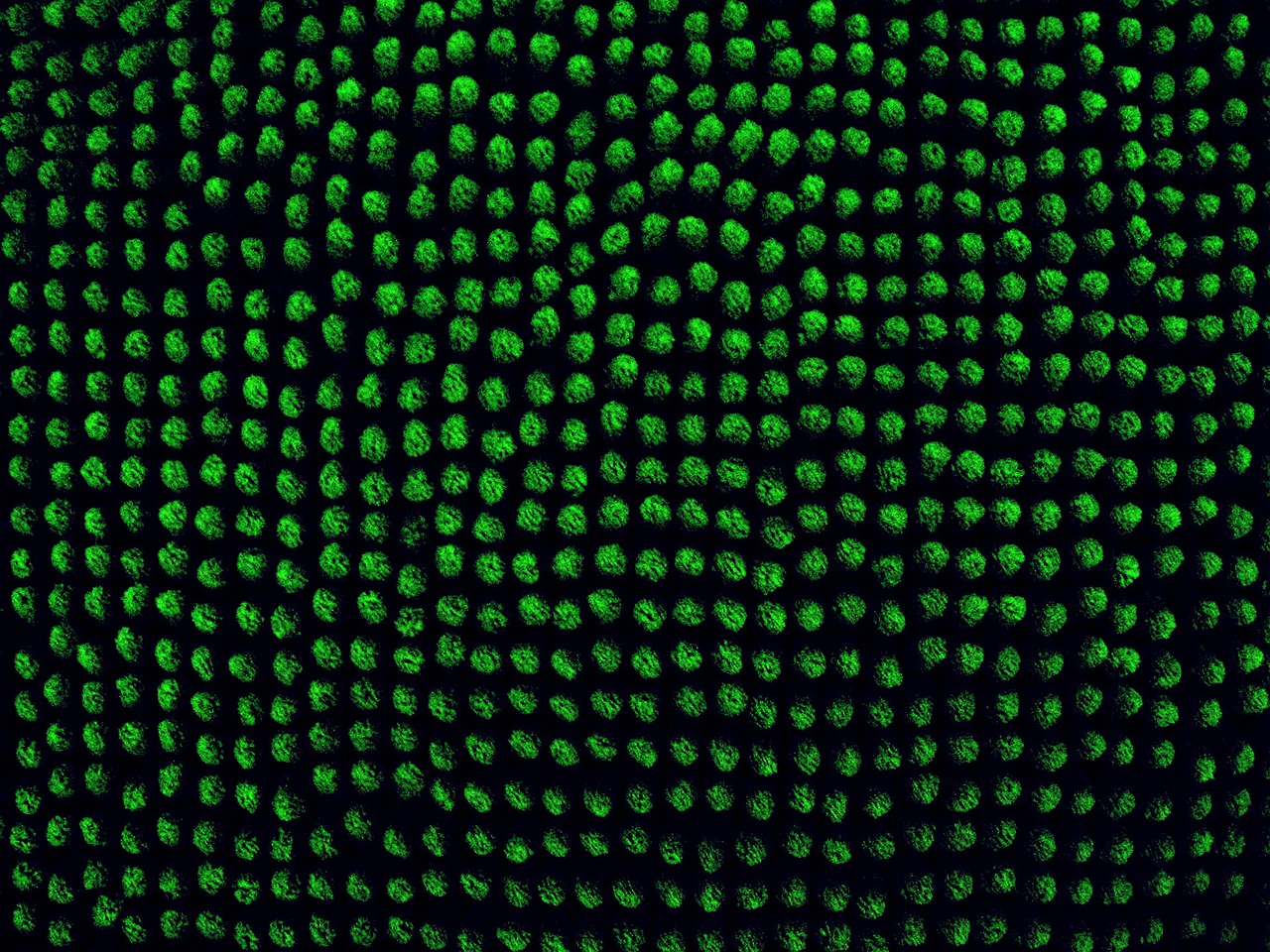 pixels surface green free photo