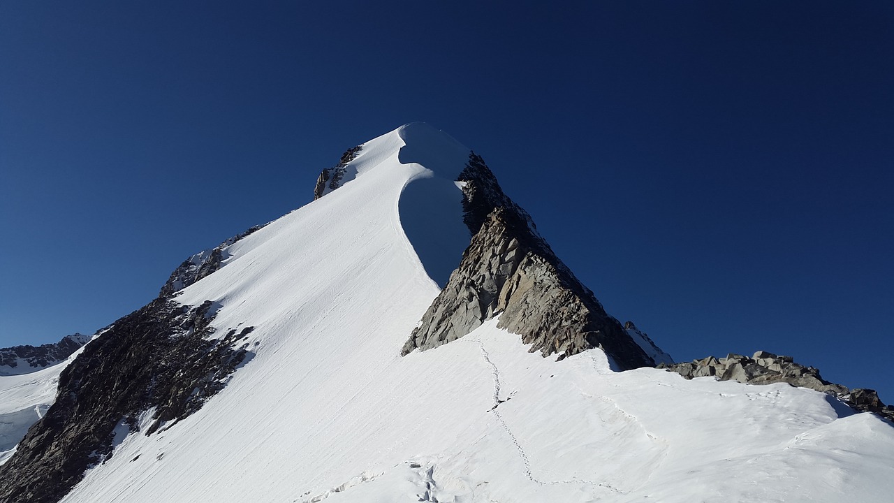 piz bernina alpine biancograt free photo