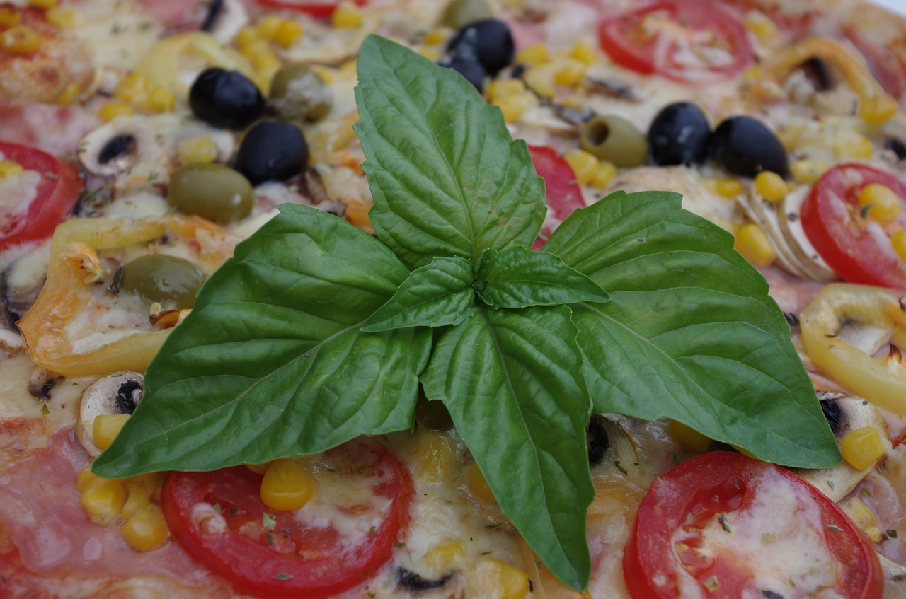 pizza olives meal free photo