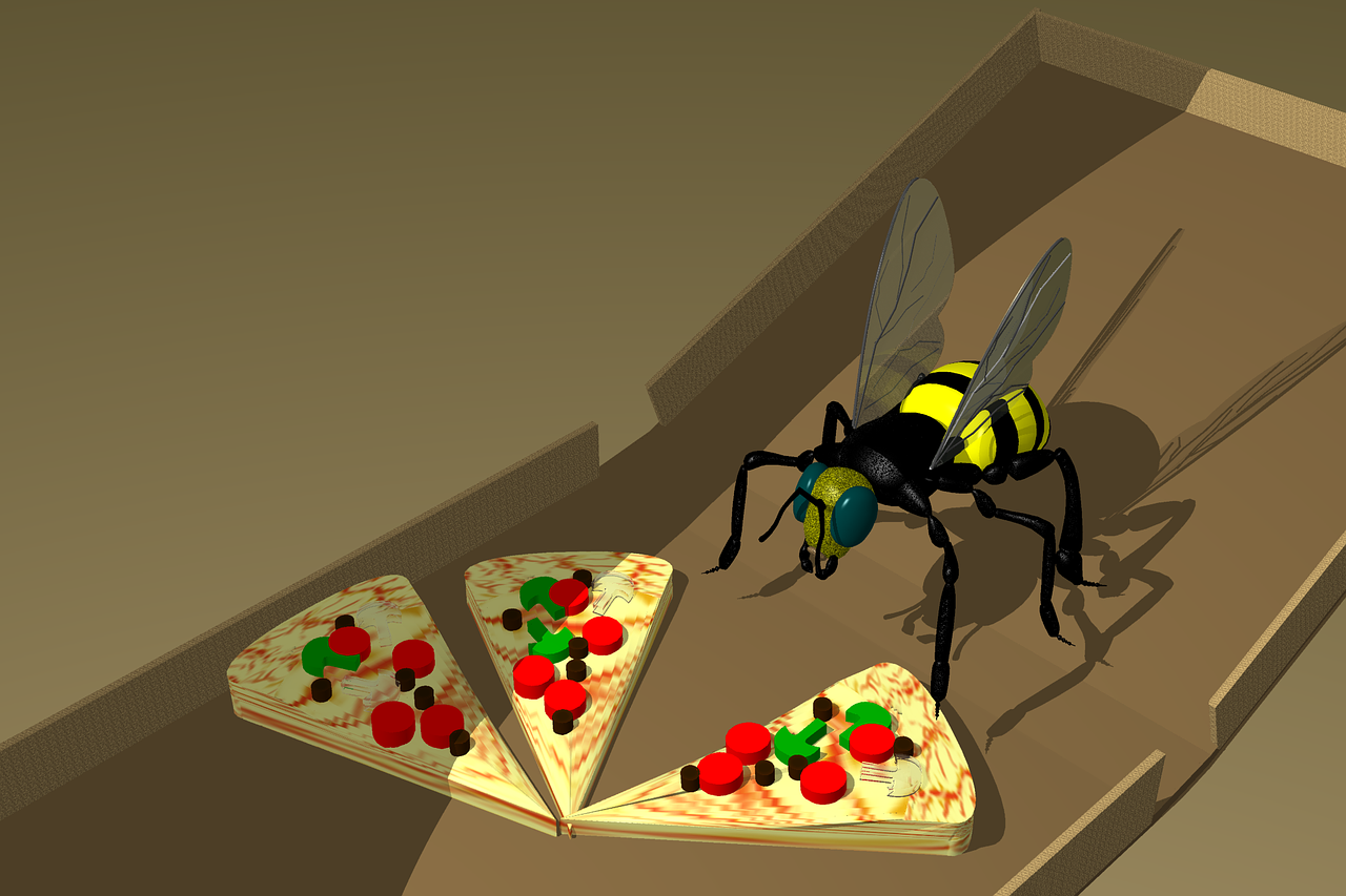 pizza bee 3d free photo