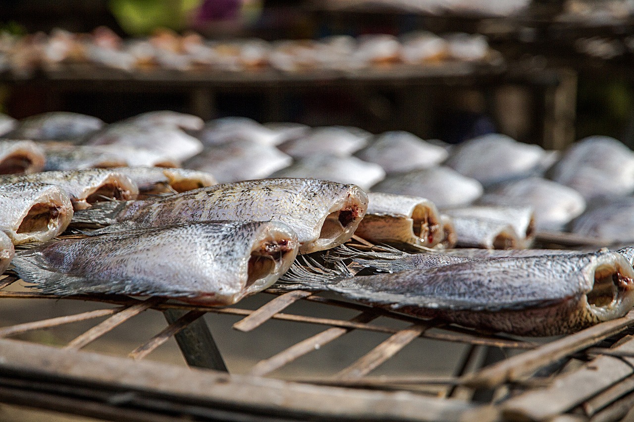 pla salit pla salit salted salit dried fish free photo