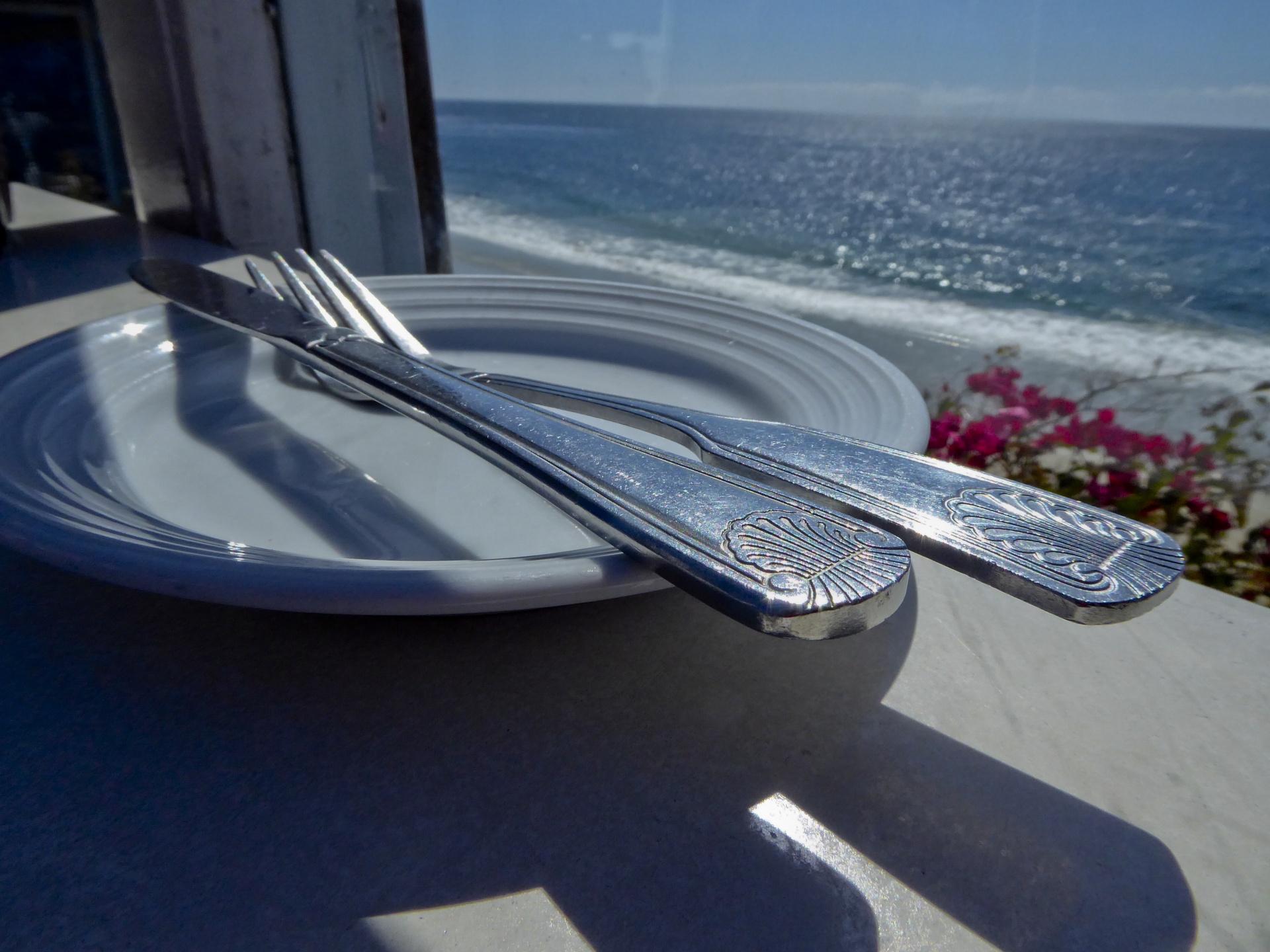 dining ocean plate free photo