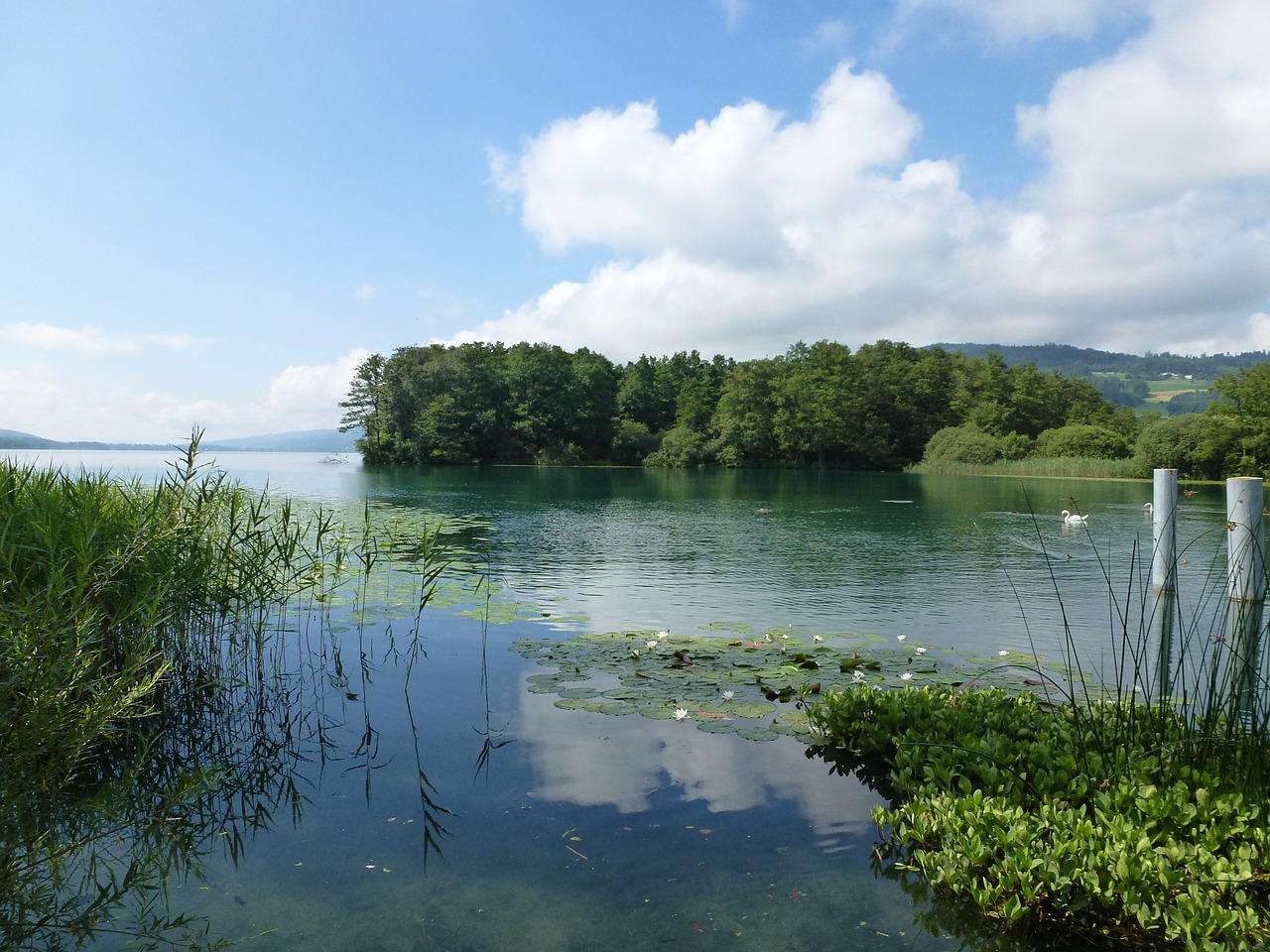 placed lake switzerland landscape free photo