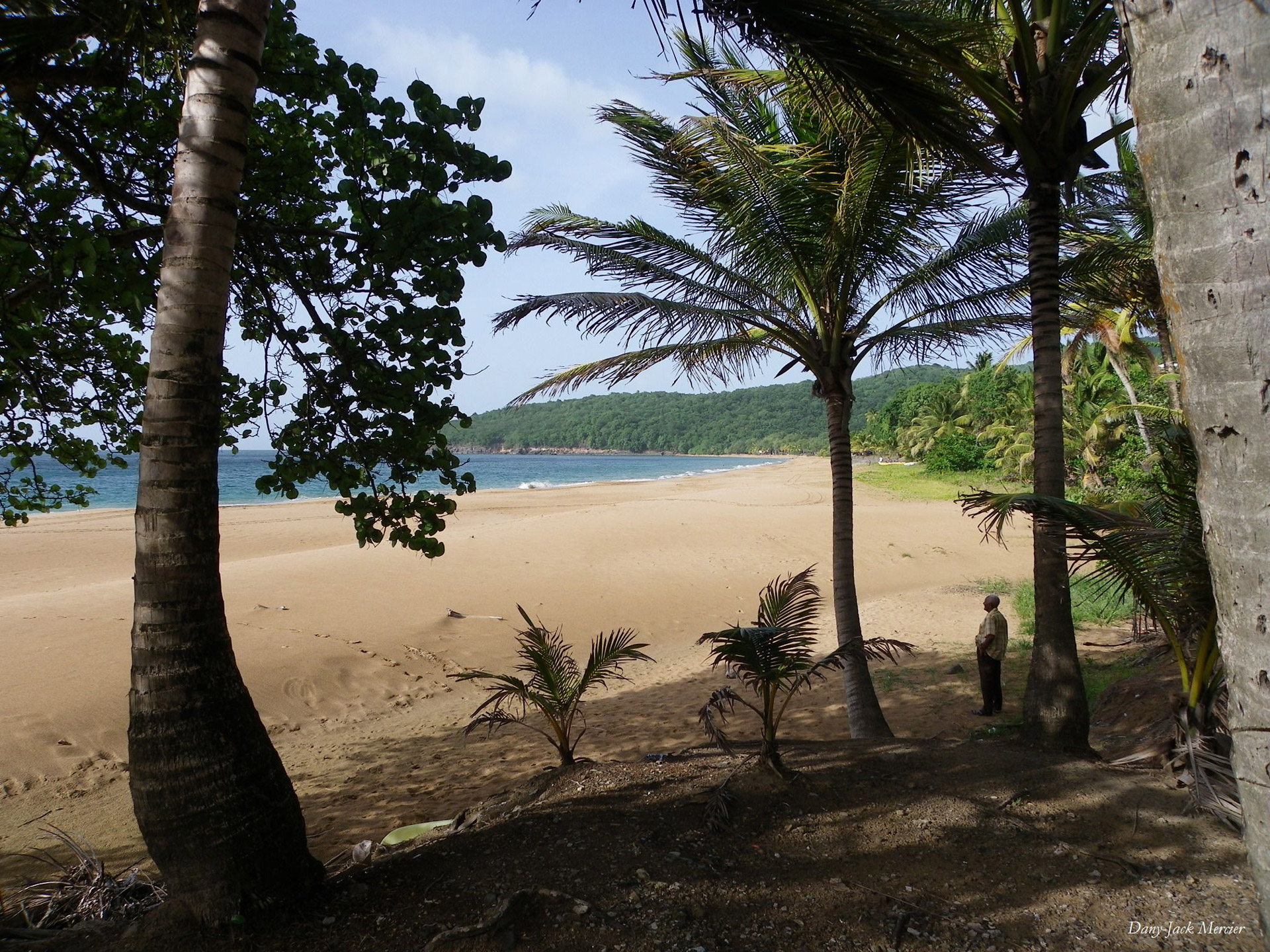 beach sea caribbean free photo