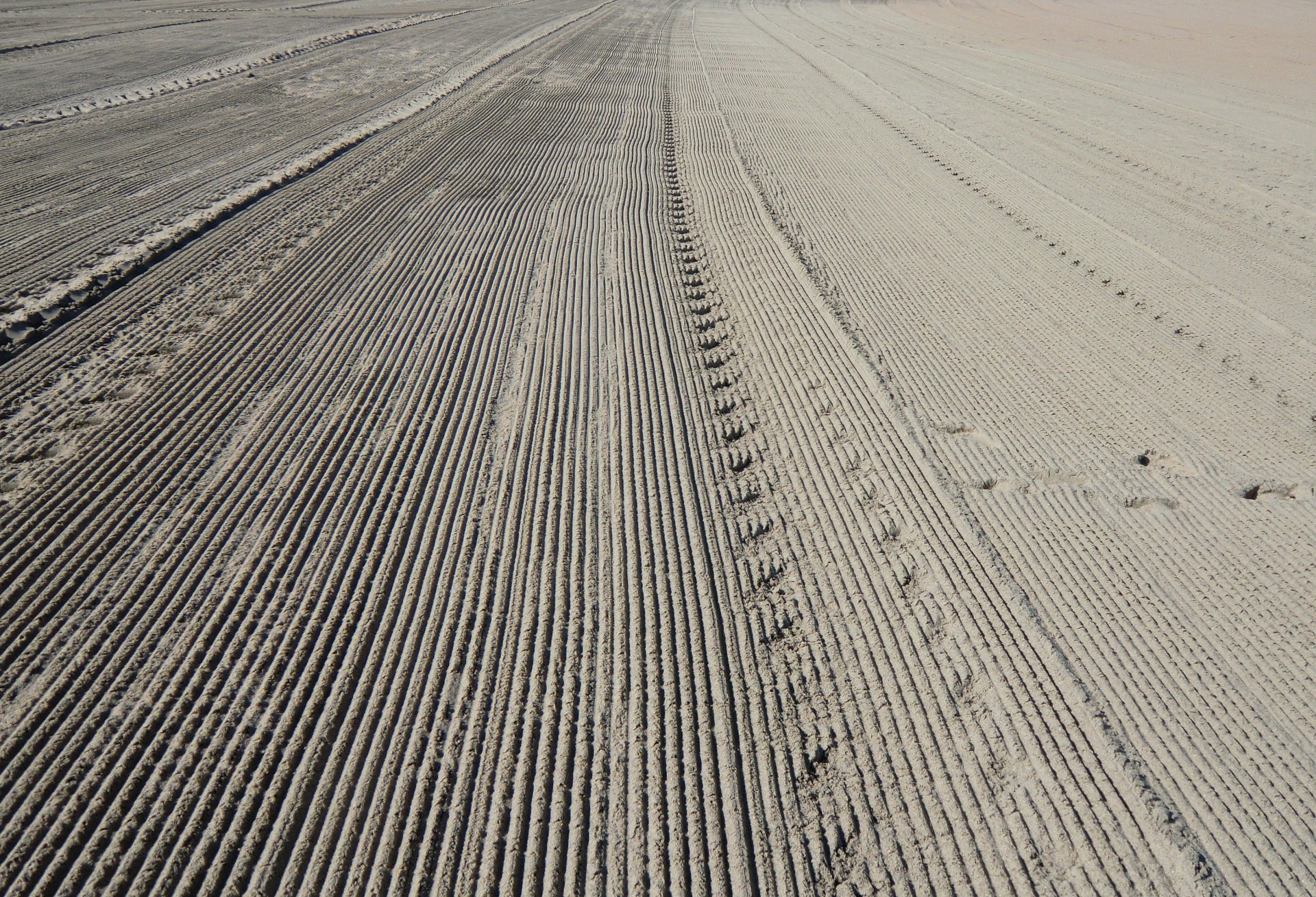 beach sand morning free photo