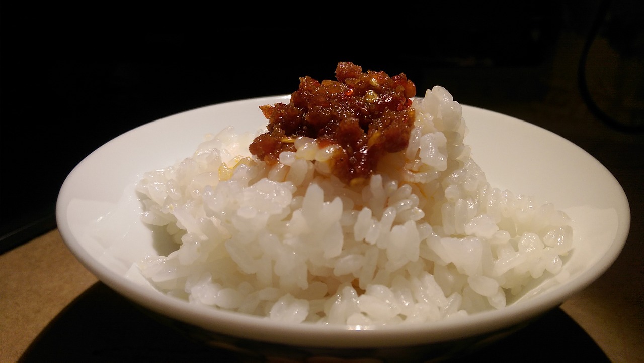 plain cooked rice xo sauce delicious free photo