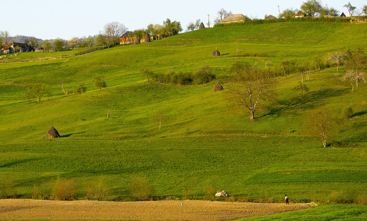 plains  land  landscape free photo