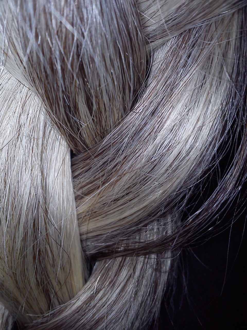 plait hair grey free photo