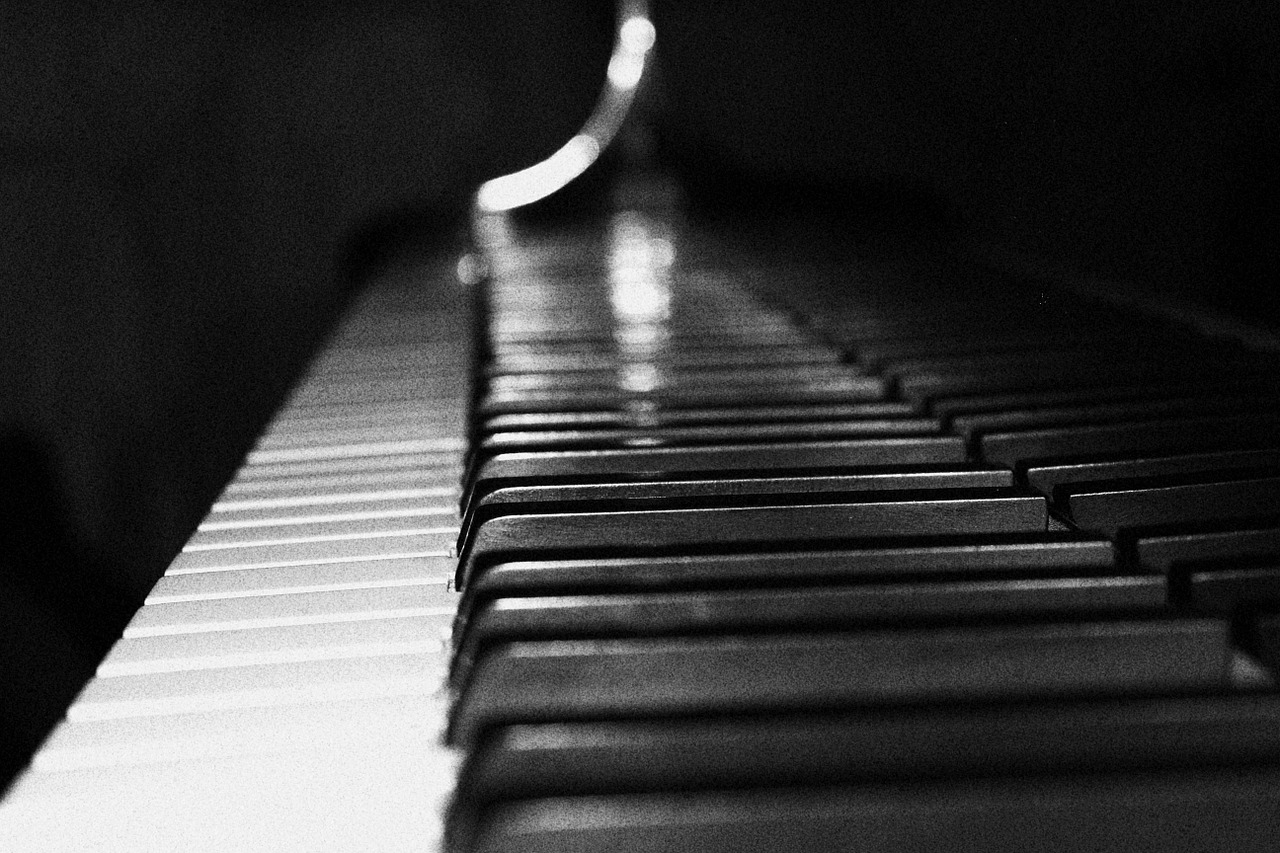 plan piano keys free photo