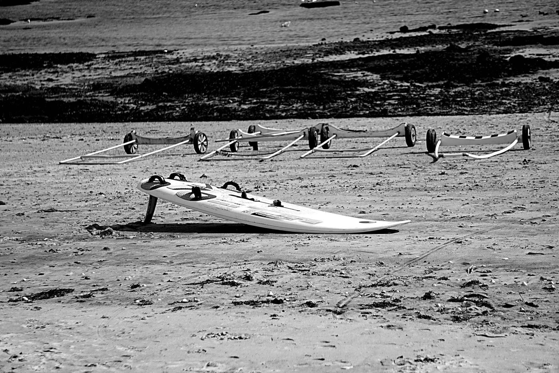 windsurfing sport sand free photo