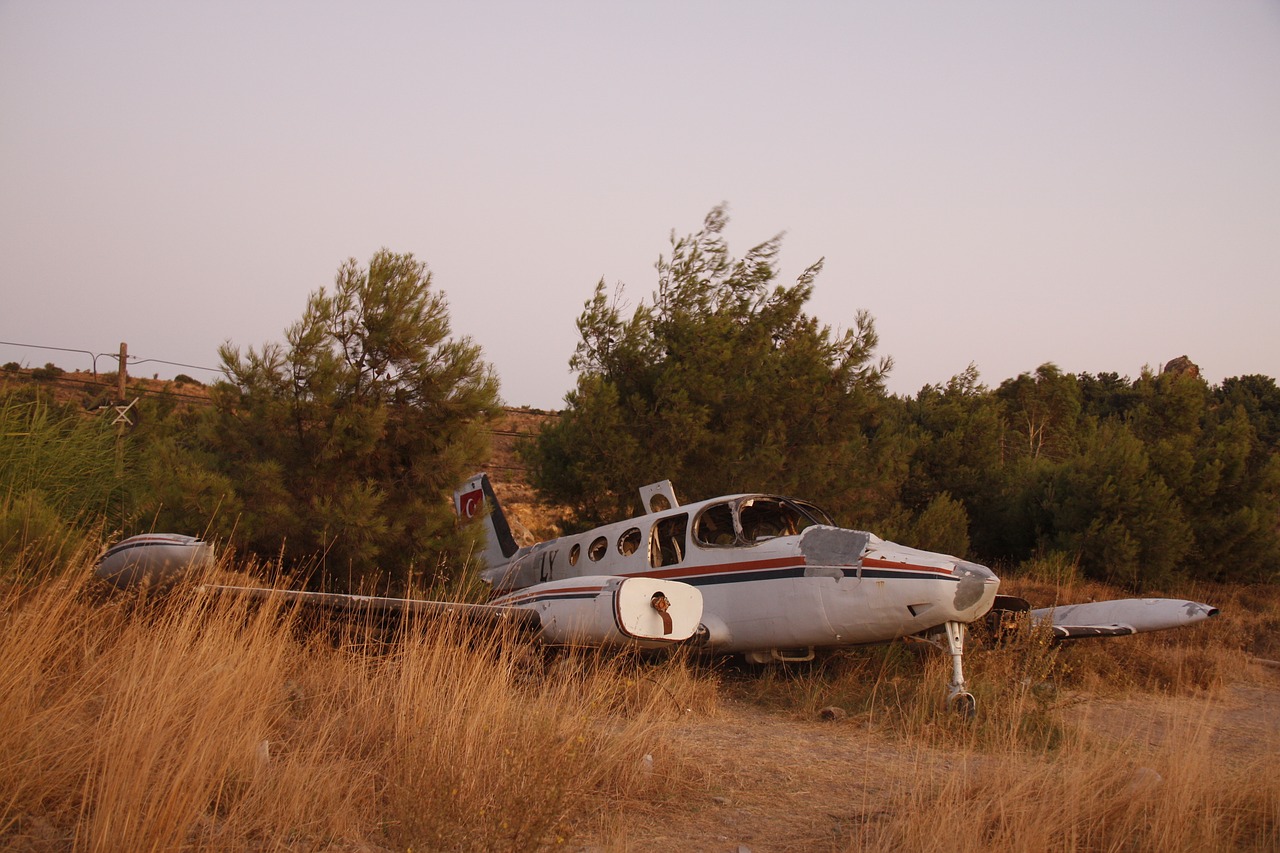 plane crash shrubs free photo