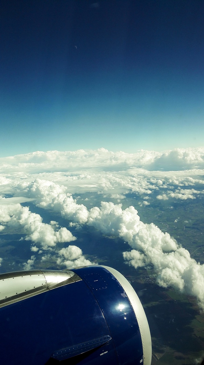 plane vista cloud free photo