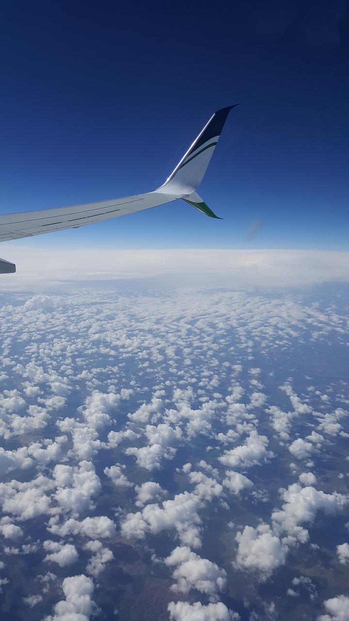 plane clouds view free photo