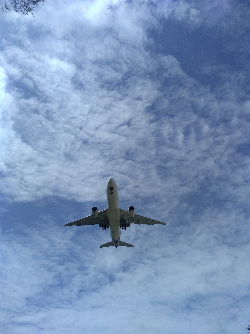 plane sky blue sky free photo