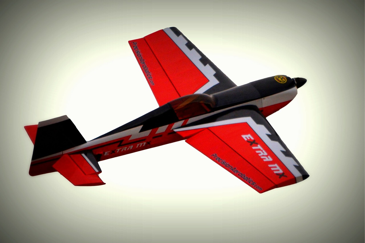 plane model airplane wings free photo