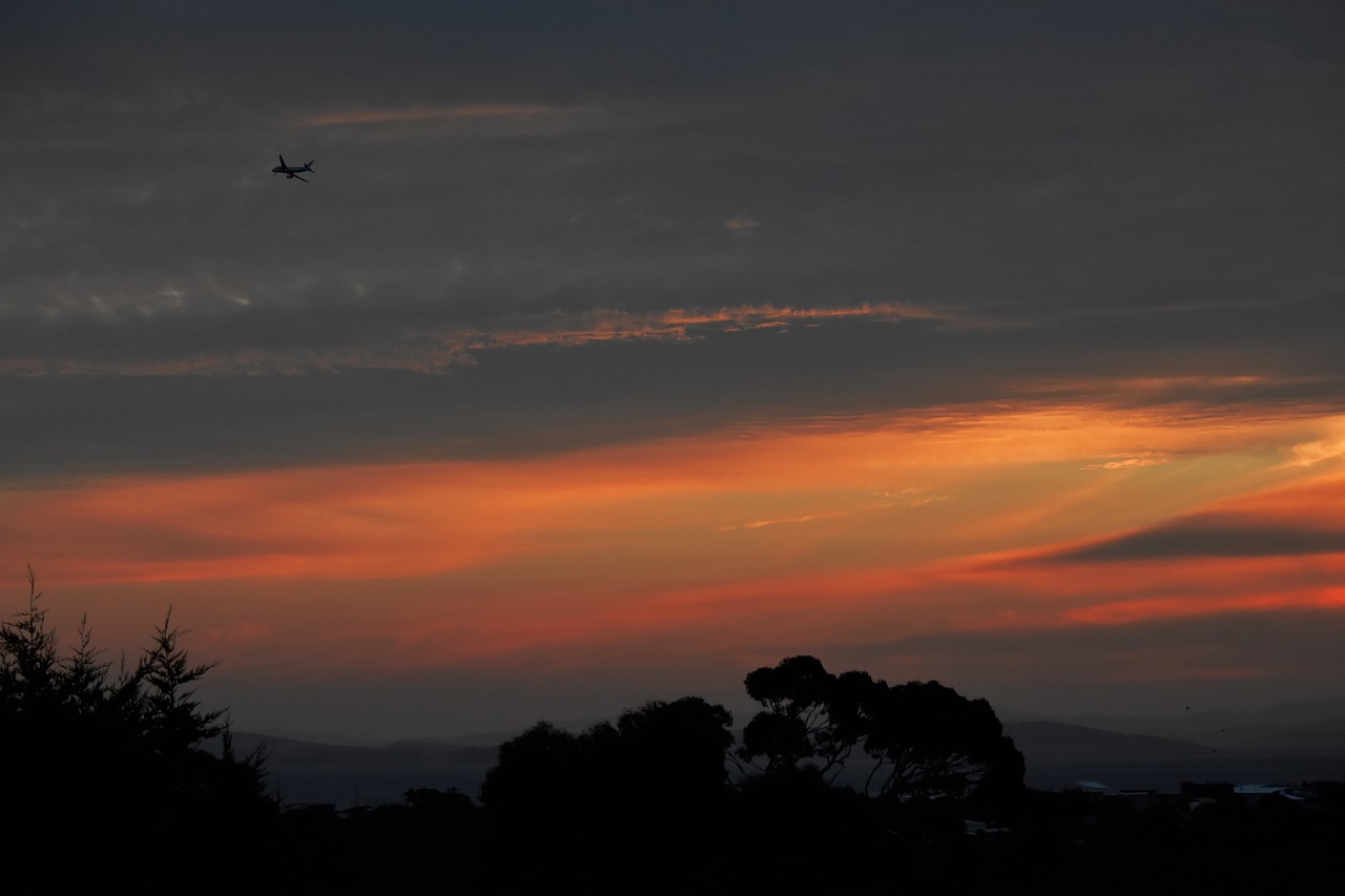 plane  sunset  airplane free photo