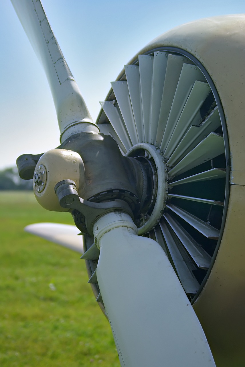 plane summer propeller free photo