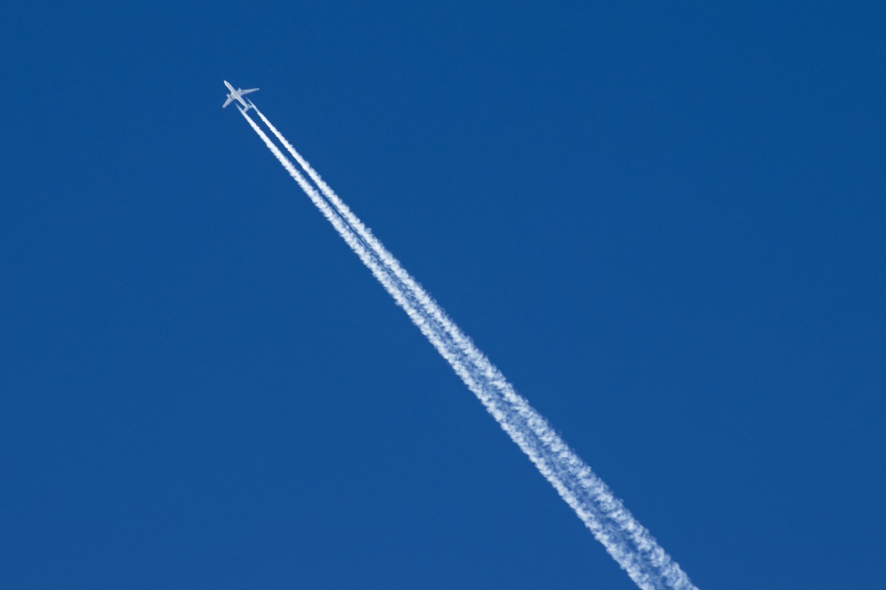 plane  blue sky  blue free photo