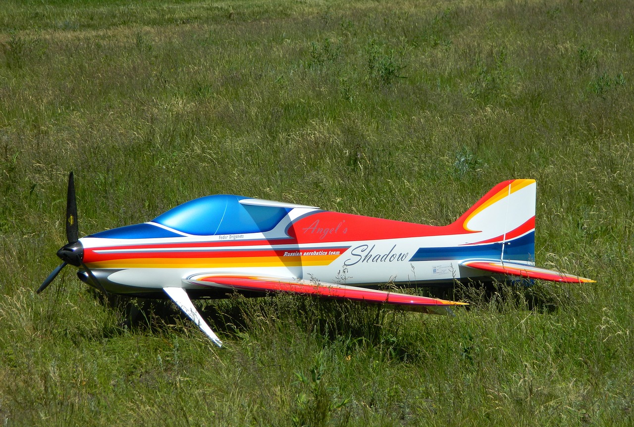 plane  model airplane  grass free photo