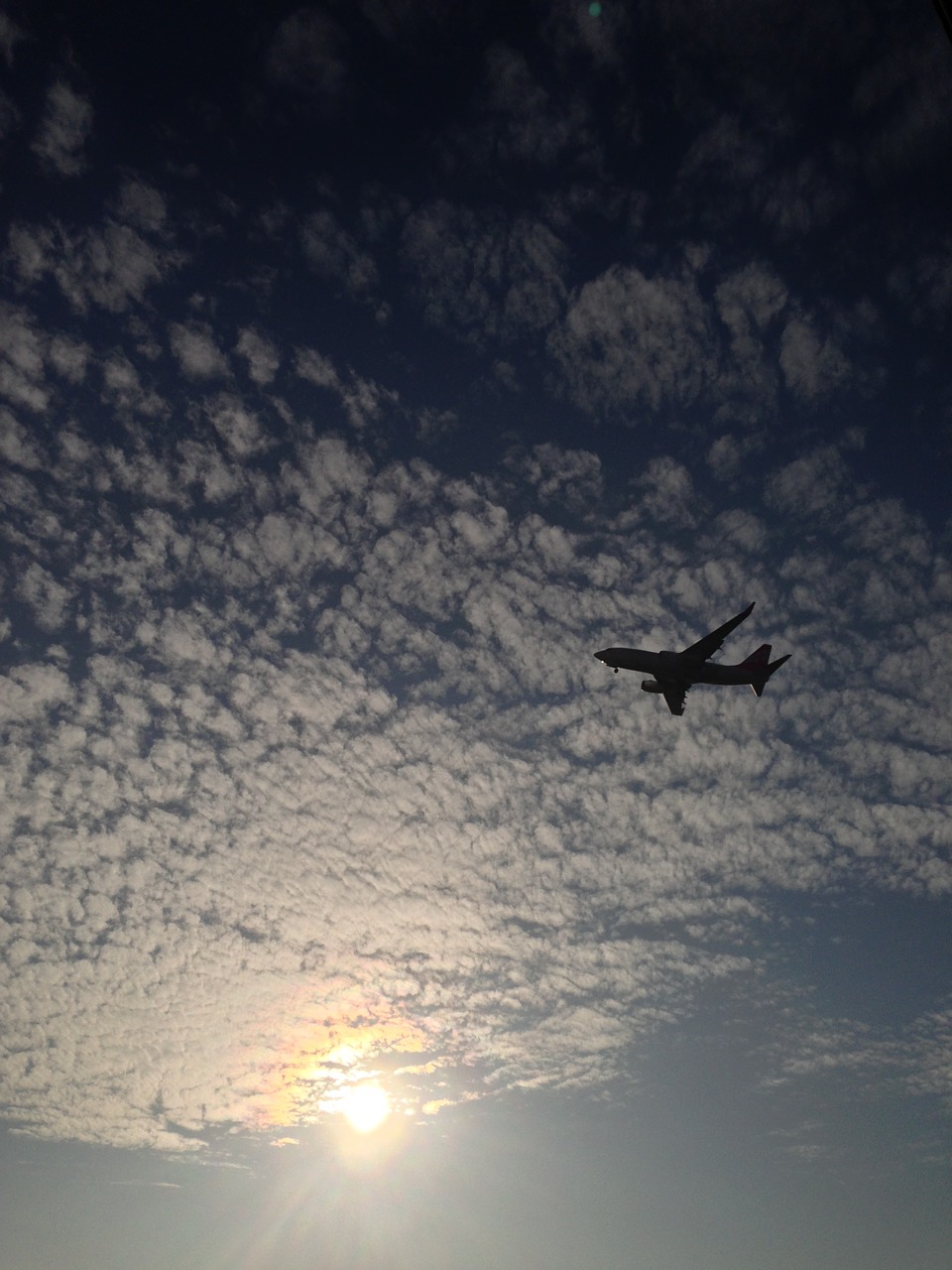 plane aviation tbilisi free photo