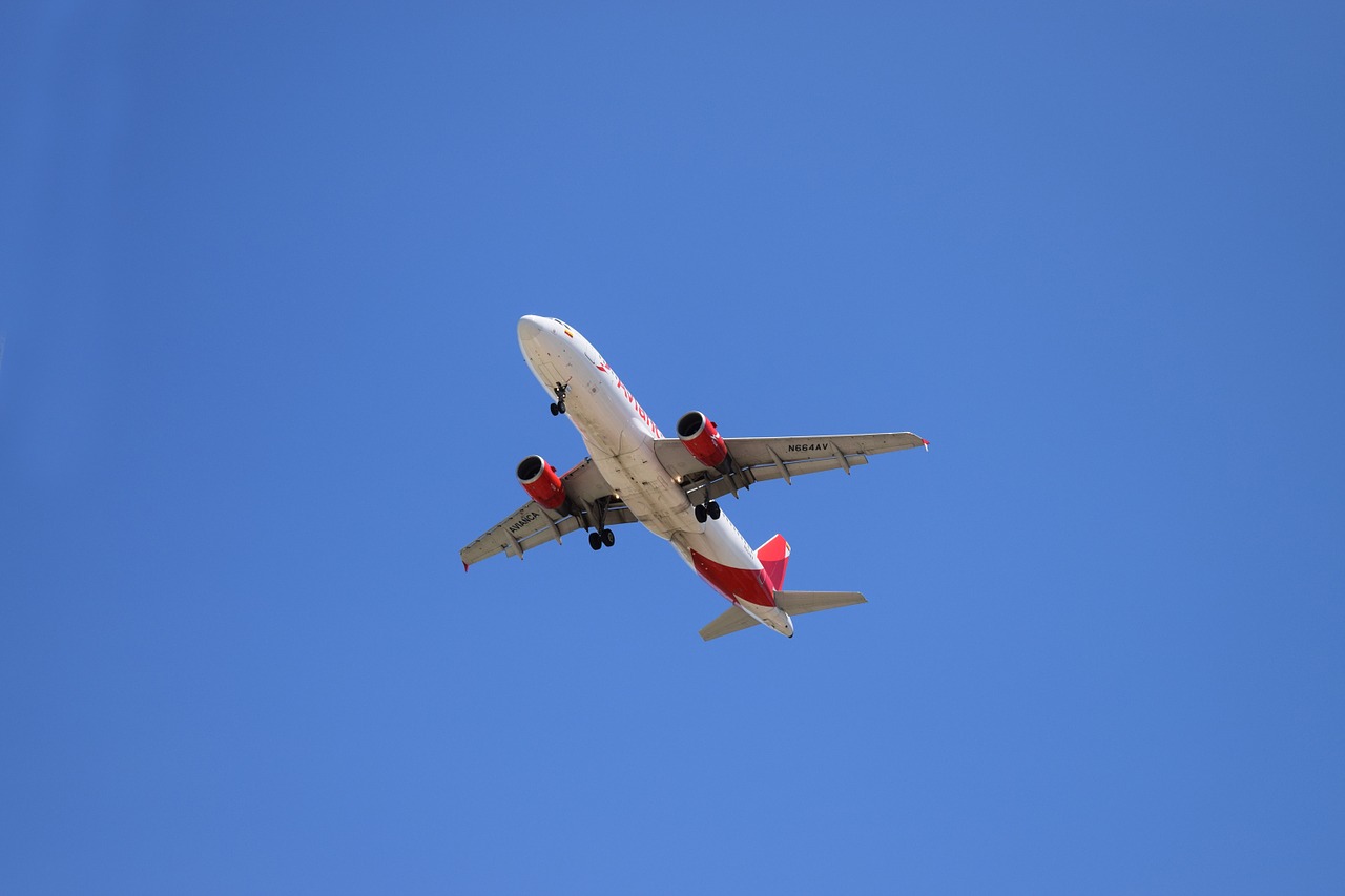 plane sky fly free photo