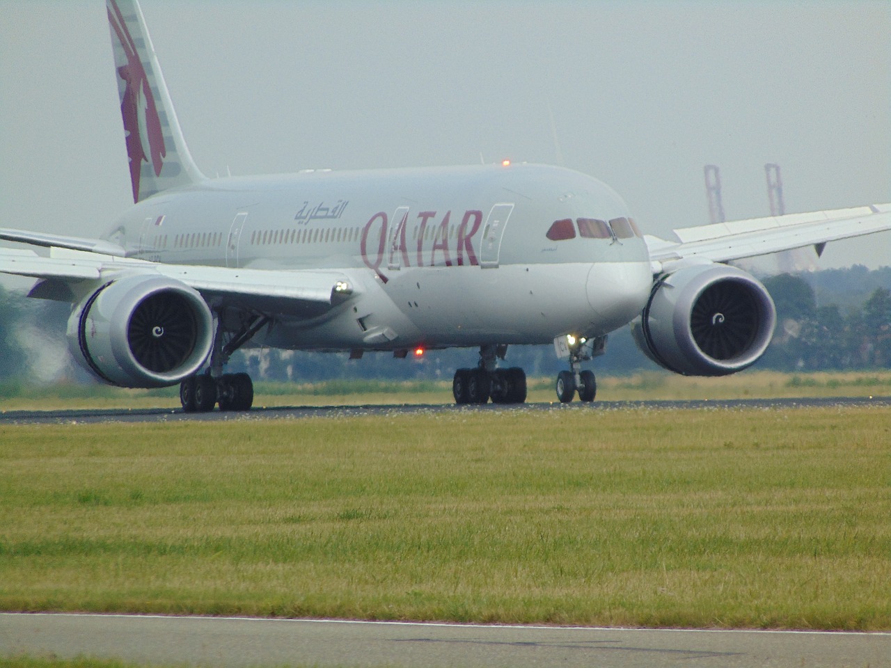 plane dreamliner qatar airlines free photo