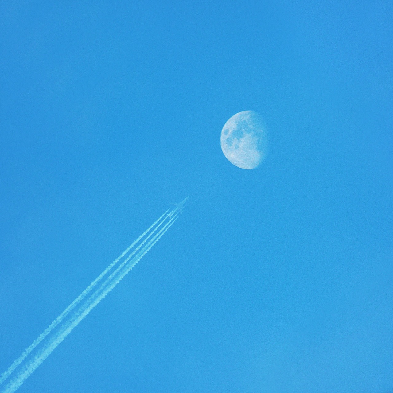 plane sky flight free photo