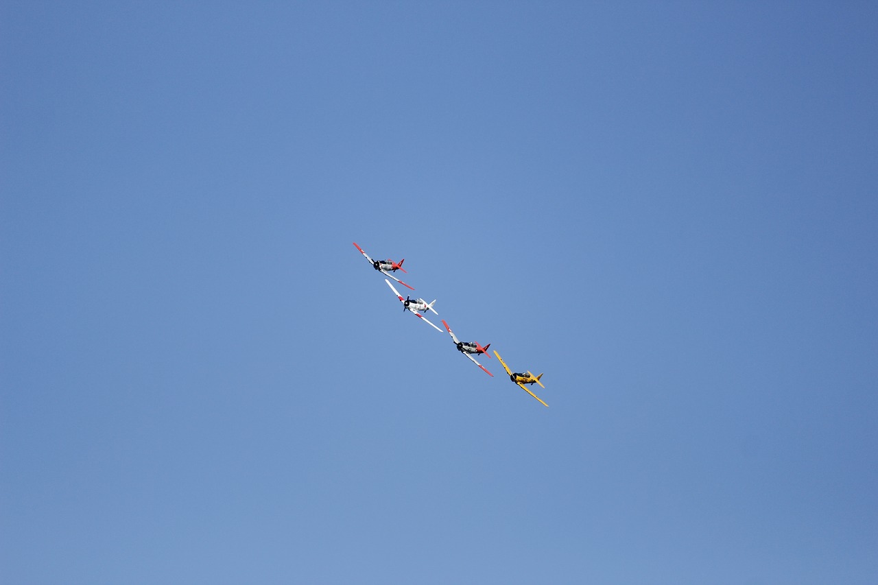 planes  aerobatics  flight free photo