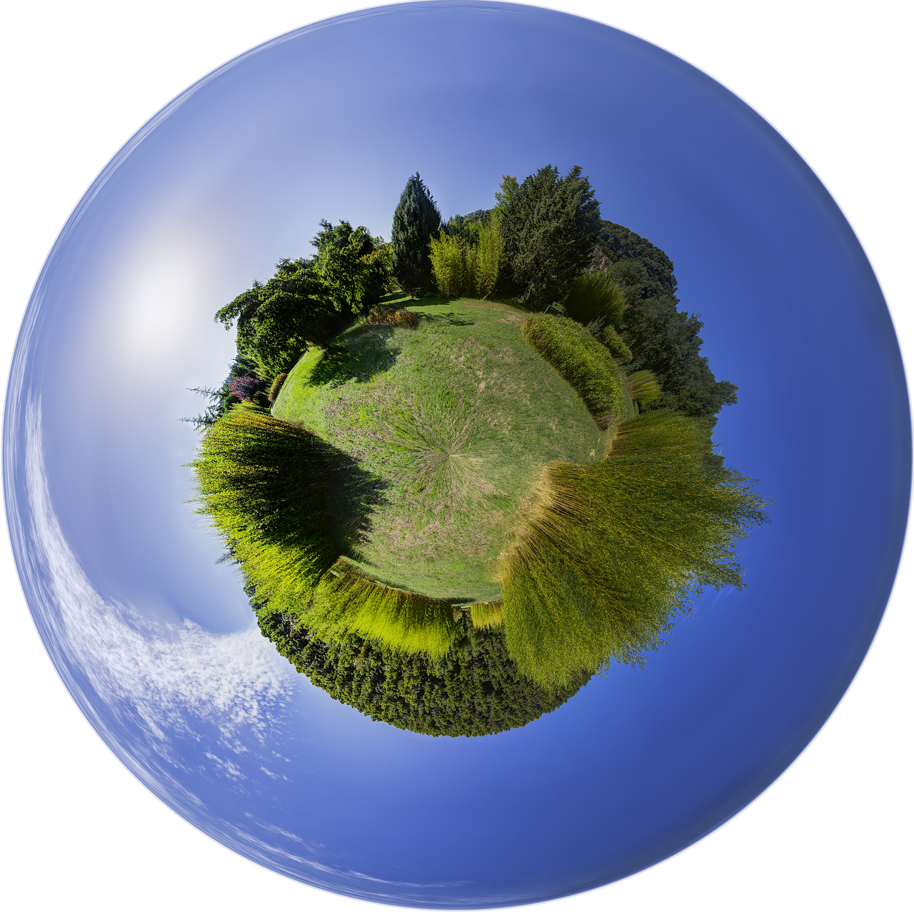 planet green environment free photo