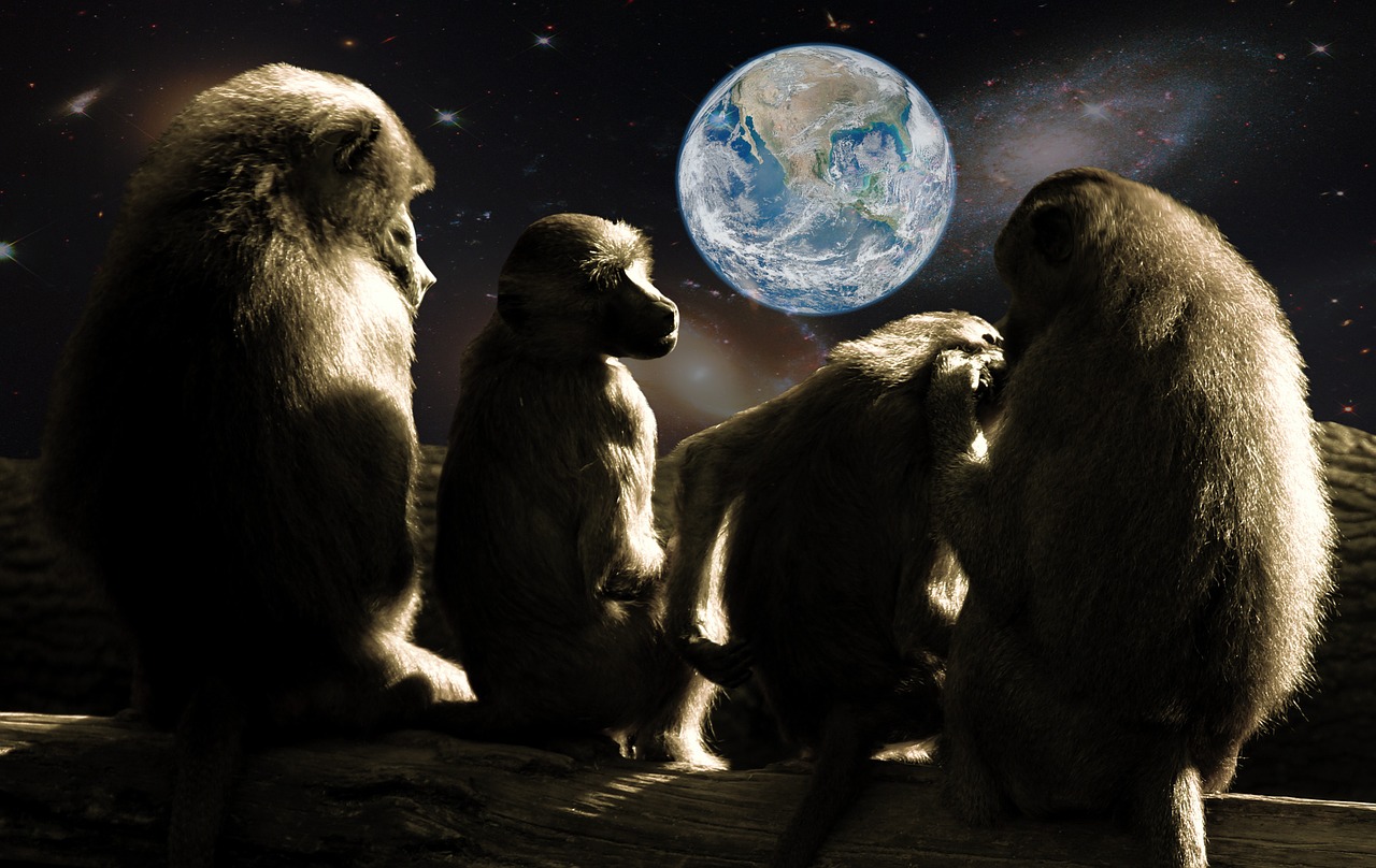 planet of the apes ape baboons free photo