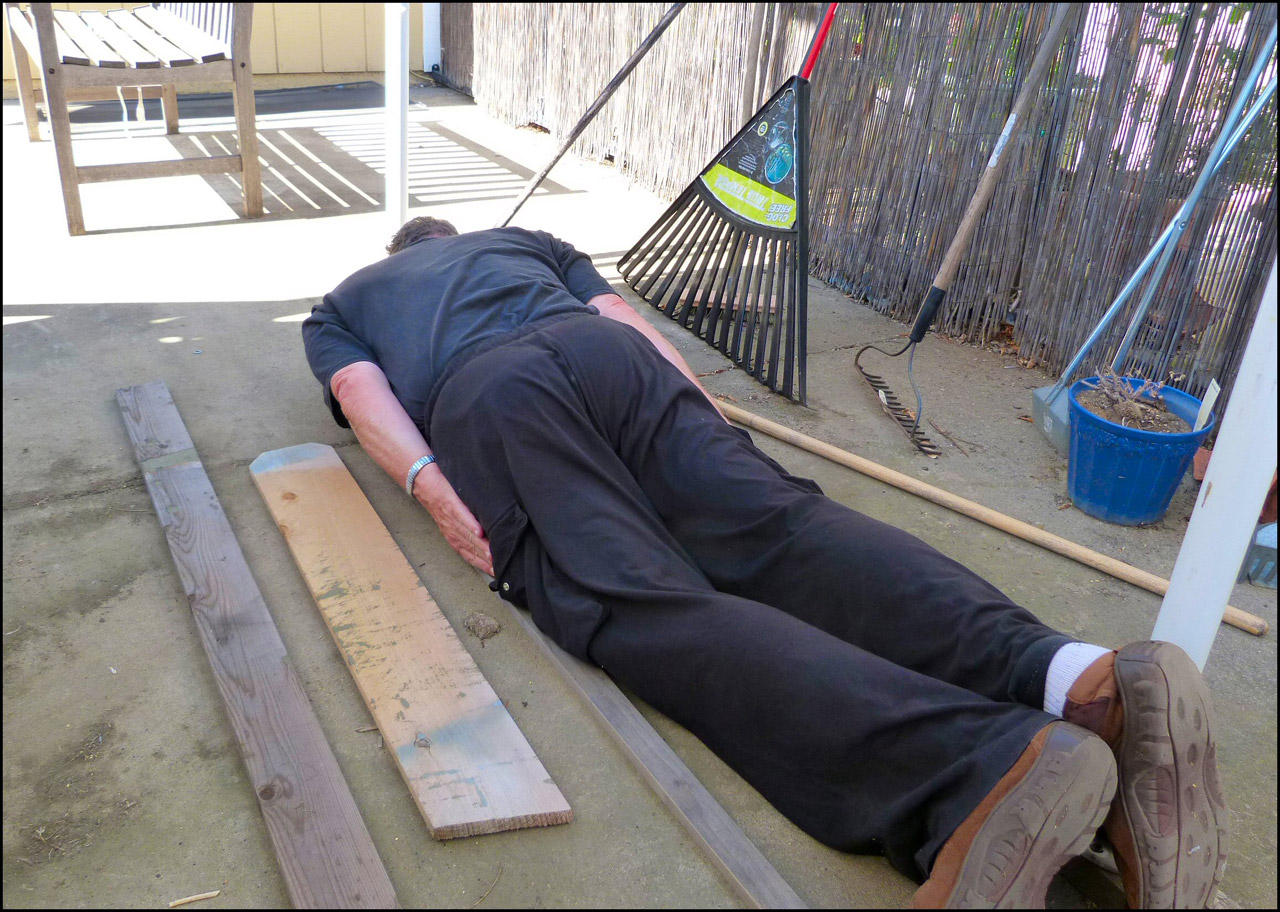 planking back yard free photo