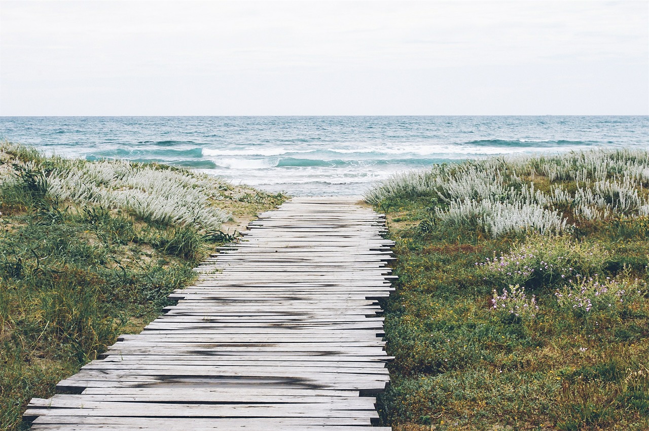 planks jetty ocean free photo