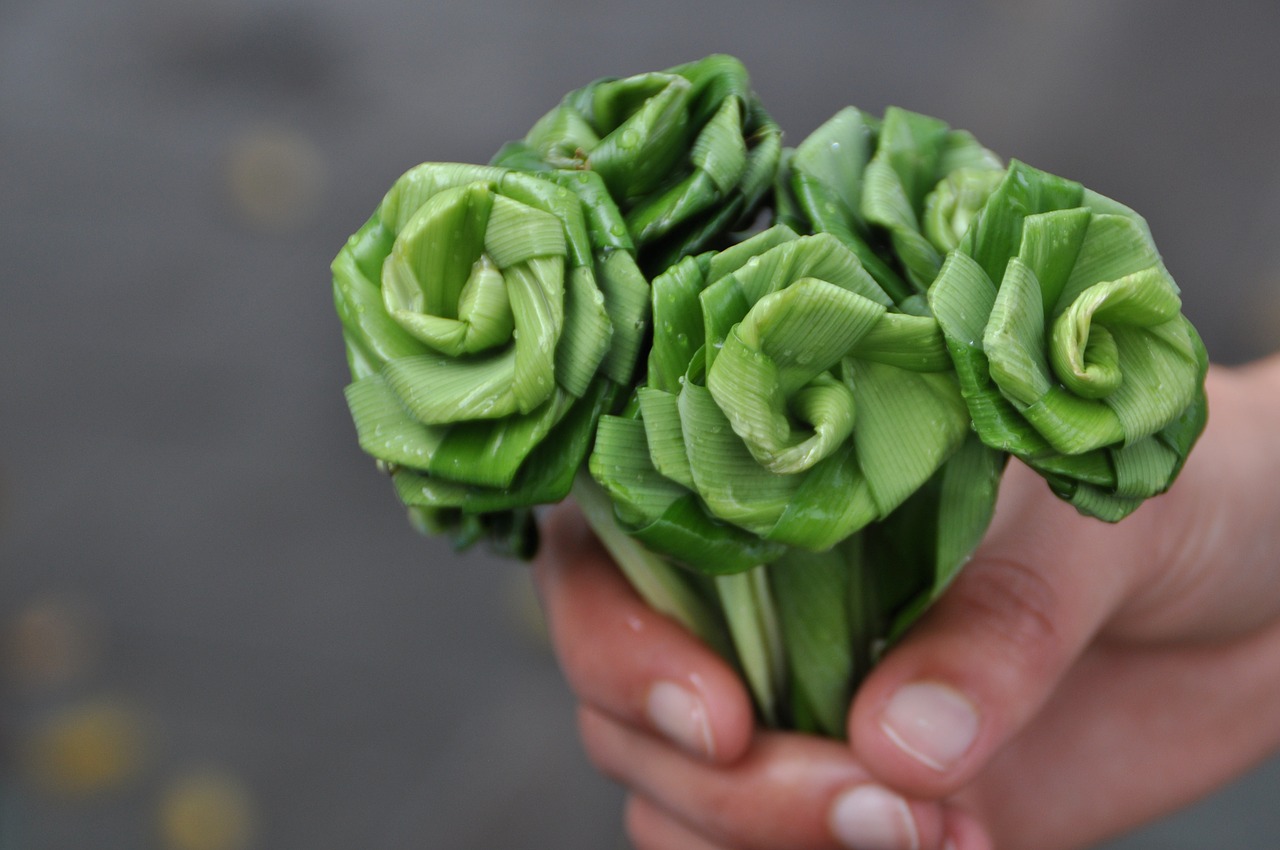 plant bouquet nature free photo